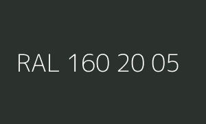 Color RAL 160 20 05