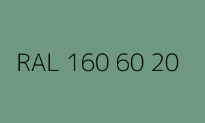 Color RAL 160 60 20