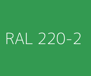 Color RAL 220-2 