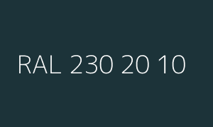 Color RAL 230 20 10