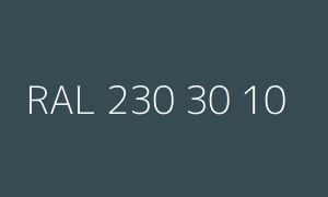 Color RAL 230 30 10