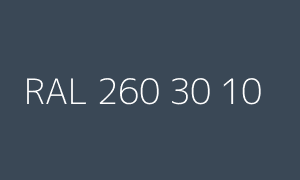 Color RAL 260 30 10