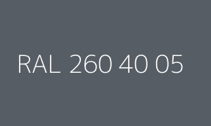 Color RAL 260 40 05