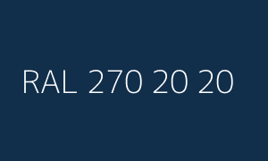 Color RAL 270 20 20