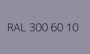 Color RAL 300 60 10