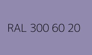 Color RAL 300 60 20